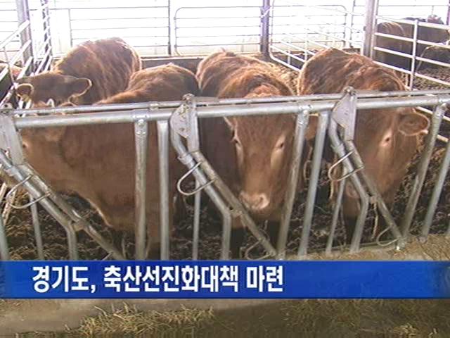 [경기] 경기도, 축산 선진화 대책 마련