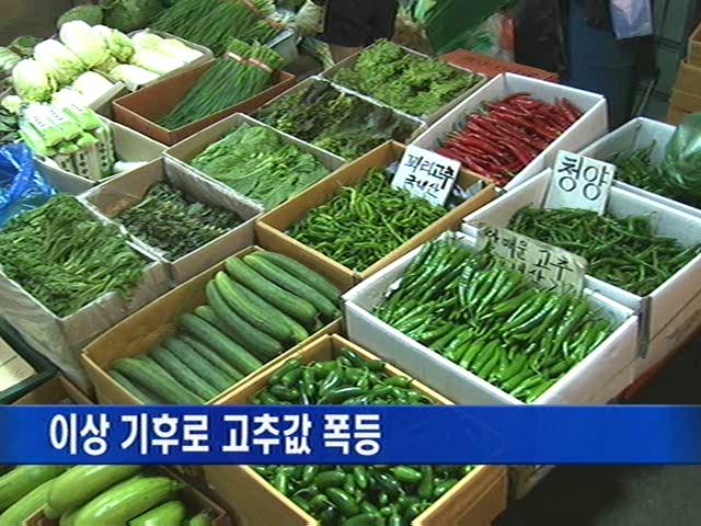 이상 기후로 고추값 폭등