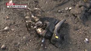 악성루머 난무…극단적 선택에 영향?