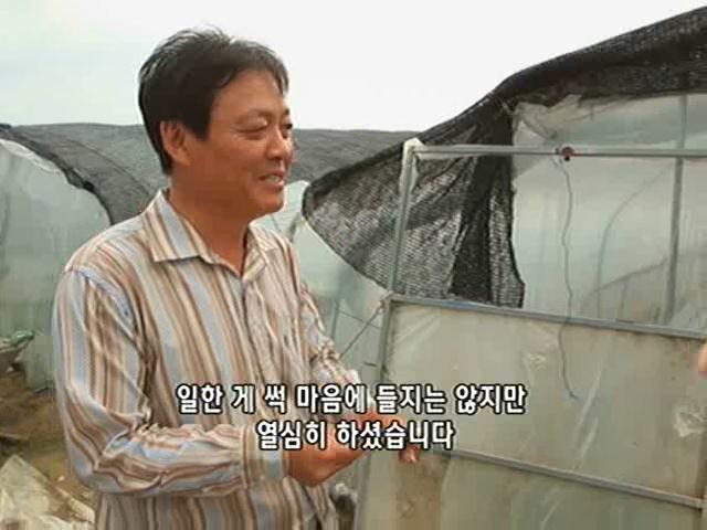 수박의 고장 고령 '희망이 주렁주렁 열렸습니다' thumbnail