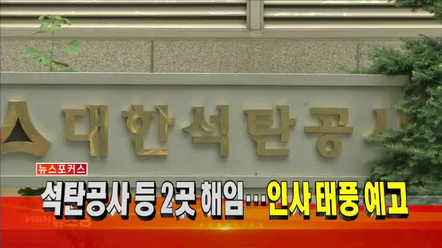 MBN 뉴스8