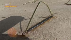 리얼다큐 숨