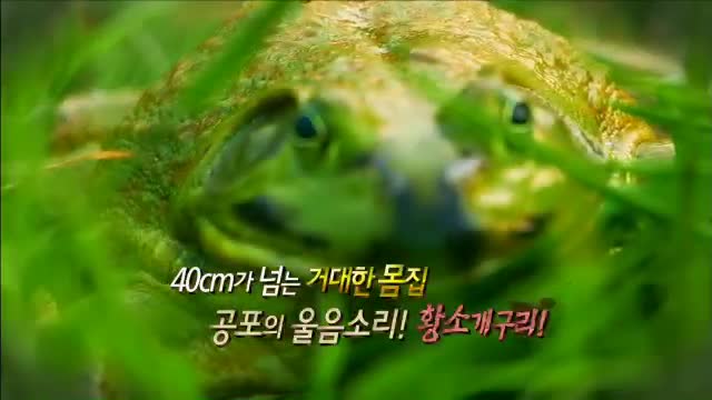 [리얼다큐 숨 ..