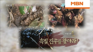 자연에서 흑빛 진주를 찾아라!