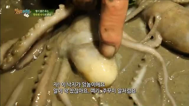 [로드다큐 맛있..