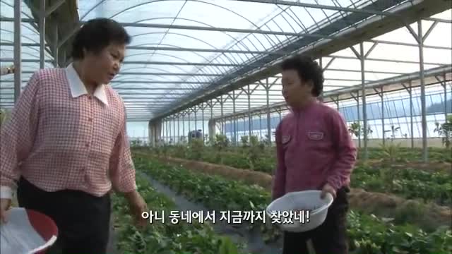 [이장님 다이어..