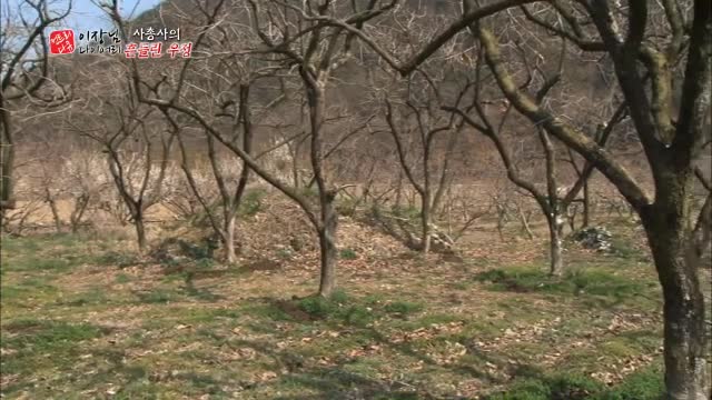 [이장님 다이어..