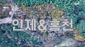 미식의 경계를 다시 여는 강원도, 새로운 매력을 찾다!