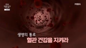 생명의 통로 혈관 건강을 지켜라