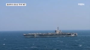 "배짱 가져라" 트럼프 말에도 선사들 '주저'…'값싼 드론'이 문제?