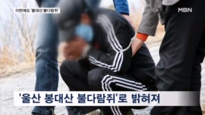 "산불 보면 희열"…함양 산불 범인은 '봉대산 불다람쥐'
