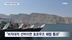 비적대적 선박만 호르무즈 통과…이러지도 저러지도 못하는 한국