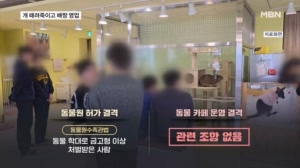 개 때려죽인 동물 카페 사장, 간판 바꿔 '배짱 영업'…법으로 막을 수 없어