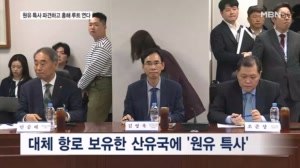 당정 "사우디·오만·알제리에 원유 특사"…일부 원유 운반선 홍해 운항 허용