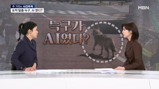 늑구 사진 AI 논란