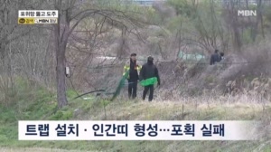 엿새 만에 찾은 늑구 다시 놓쳐…포위망 뚫고 도주