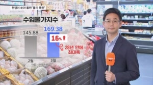 전쟁이 쏘아 올린 '물가 폭탄'…수입물가 28년 만에 최대 폭등