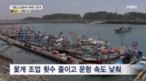 제철인데…껑충 뛴 면세유값에 "꽃게 보기 어려워졌어요"