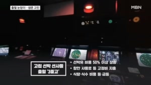보험료도 더 뛰어 선사들 생존 고민…"나무호 수리 1~2달 안에 어려울 듯"