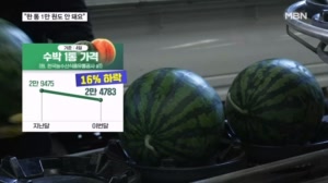출하량 늘어 수박 가격 16% '뚝'…대형마트엔 1만 원도 안 되는 특가도