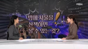 [사건추적] "밤에 서울 산책하면 볼 수 있는 것?"…명소 차지한 '바퀴벌레'