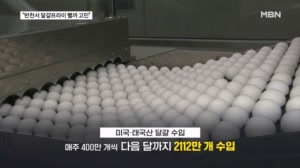 "달걀프라이 뺄까 고민"…금달걀에 수입란 대거 시중에 푼다