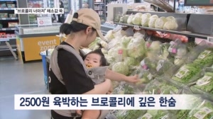 "브로콜리 너마저"…한여름 아직인데 지갑 터는 '금상추'