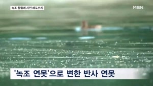226억 들인 워싱틴D.C. 반사 연못…녹조 창궐에 시민 체포까지 '수난'