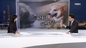 [사건추적] 망치로 때리고 생매장까지…죽음의 '분양 보호소'