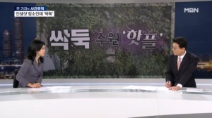 [사건추적] 수원 핫플 '파란대문 장미' 털렸다…"가지치기 해주려던 것"
