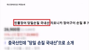 "오늘 손질한 국내산 민물장어"라더니…중국산 26억 원어치 박스갈이