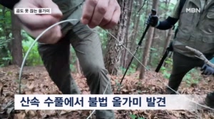 걸리면 보호종 곰도 못 끊는 올가미…산속에 여전히 많아