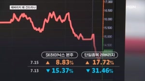 삼전닉스 레버리지 왜 건드리나 "시총 1·2위인데 툭 하면 급등락"