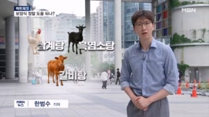 [팩트체크] 삼복 무더위에 찾는 보양식…여름나기에 도움될까?