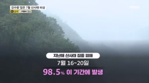 비 그쳐도 안심은 금물…강수량 많은 7월 '산사태 위험'