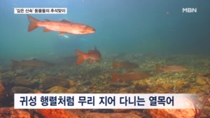 깊은 산속은 벌써 명절…멸종위기 동물들의 추석맞이 이동 행렬