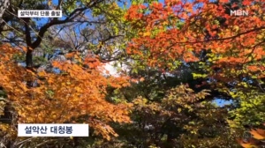 산 정상은 울긋불긋…설악부터 단풍 출발