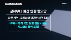 해적 잡던 청해부대, 공중 감시 전력 붙여 호르무즈 코앞까지