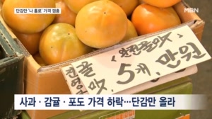 단감인데 가격은 안 달다…가을 과일 중 유독 가격 뛴 단감, 왜