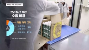 "16억 원 중 14억 원 운송비" 그럼에도 브라질산 계란 수입한 이유