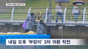 "이대로 두면 2주 내 폐사"…내일 부캉이 3차 귀환 작전