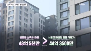 "들어오겠다는 사람 없어요" 꼬마빌딩 팔아도 반포 소형아파트 못 산다