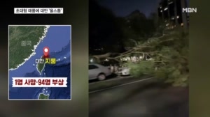 '사상자 95명' 태풍 참피 대만 초근접…일본도 강한 돌풍에 폭우