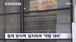 '약탈 대비' 상점에 철제 방어벽…시위 제한에도 수천 명 집결