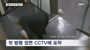 "불내기 전 씩 웃었다"…경찰, 역삼동 방화범 신상공개 검토