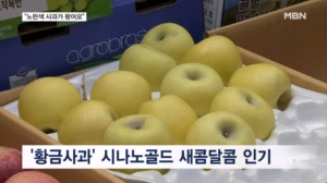 "노랗다고 배 아닙니다, 사과입니다"…골라 먹는 재미에 '뚝' 떨어진 가격까지