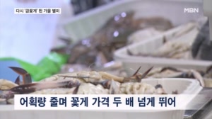 꽃게 싸다 해서 사러 왔는데…어획량 감소에 가격 두 배 뛴 '가을 별미'