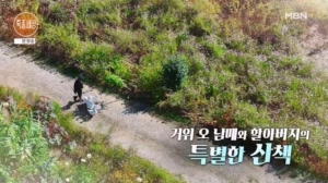 신호등 건너는 천재 거위 오남매와 할아버지