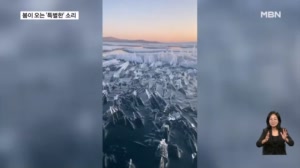 [굿모닝월드] 봄이 오는 '특별한' 소리