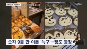 식지 않은 '늑구 앓이'…"늑구 덕분에 승리" 늑구빵까지 등장